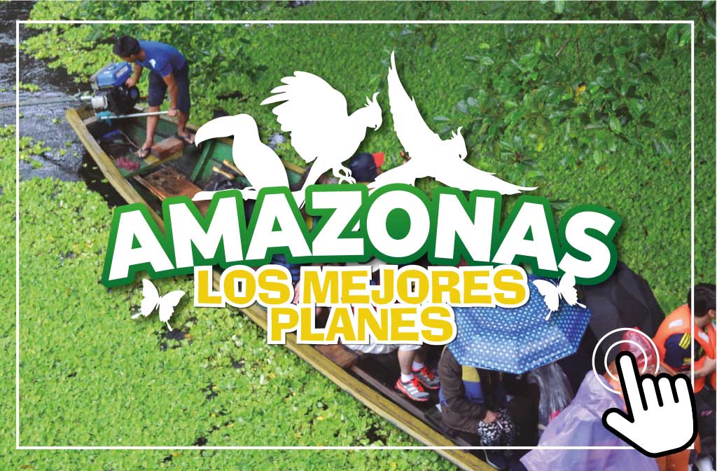 Amazonas - Paipa Tours