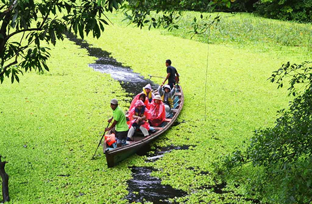 Canoa Amazonas - Paipa Tours
