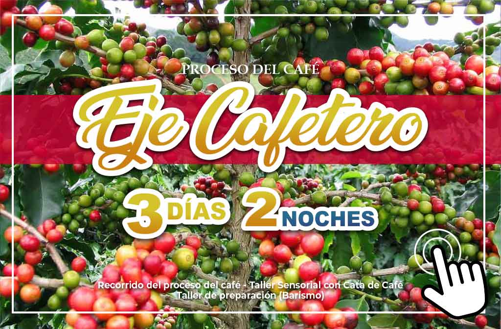 Eje Cafetero 3 Días 2 Noches - Paipa Tours