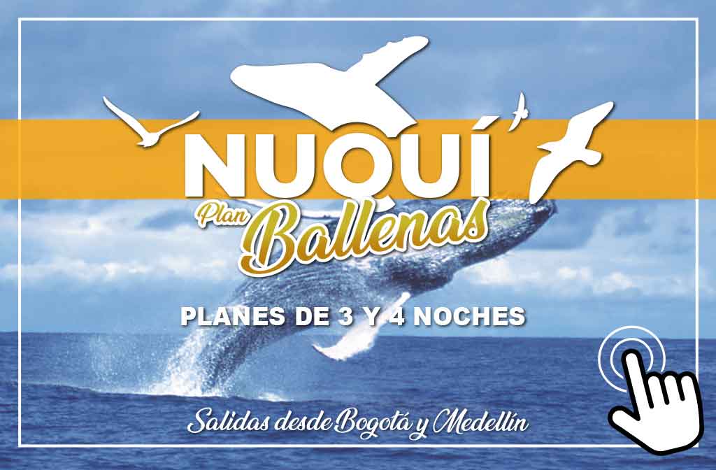 Nuquí Plan Ballenas - Paipa Tours