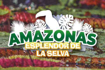 Amazonas Esplendor en la Selva - Paipa Tours