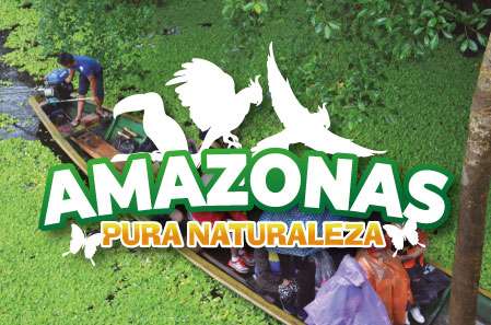 Amazonas pura Naturaleza - Paipa Tours