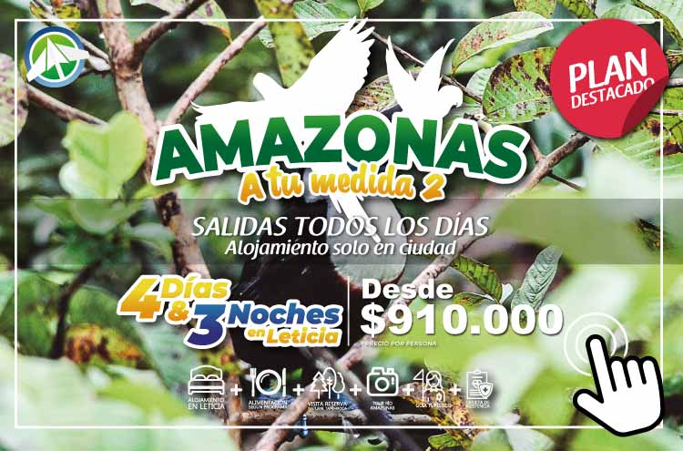 Planes Viajes al Amazonas - Amazonas a tu medida 2 - 4-dias 3 noches - Paipa Tours