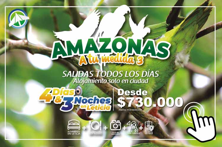 Planes Viajes al Amazonas - Amazonas a tu medida 3 - 4-dias 3 noches - Paipa Tours