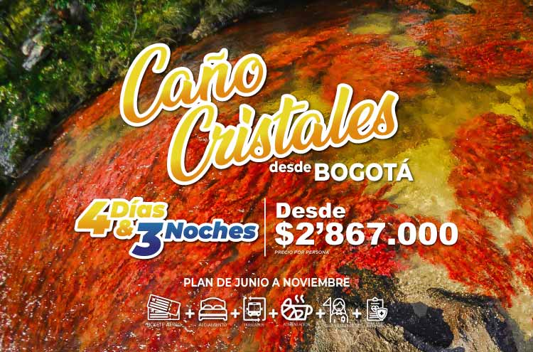 Planes a Caño cristales 4 días 3 noches desde Bogotá - PAIPA TOURS 2023