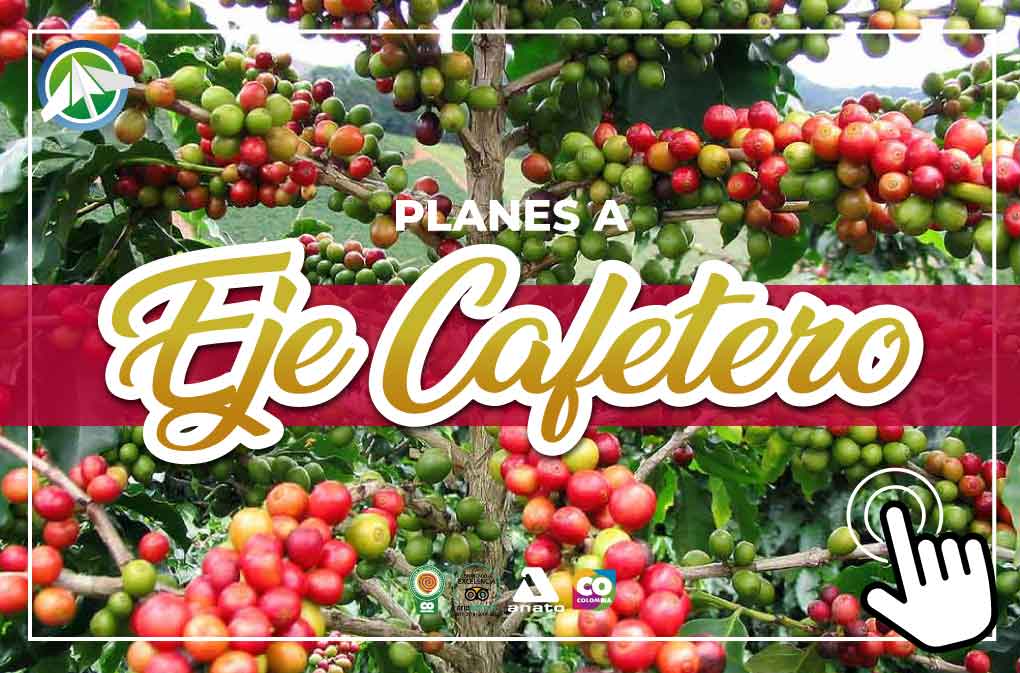 Eje-Cafetero-Paipa-Tours