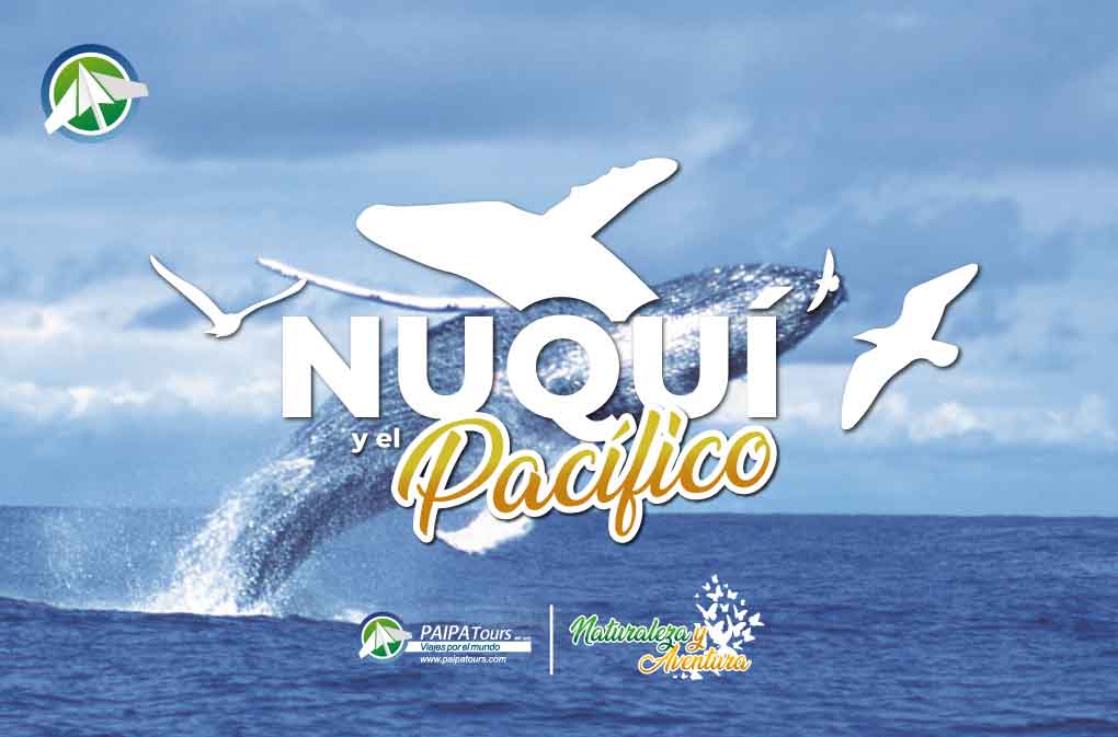 Nuqui-Paipa-Tours-Naturaleza