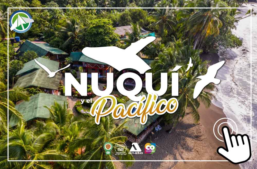 Nuqui-Paipa-Tours