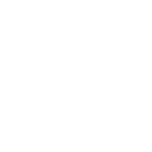 Excursión a elegir