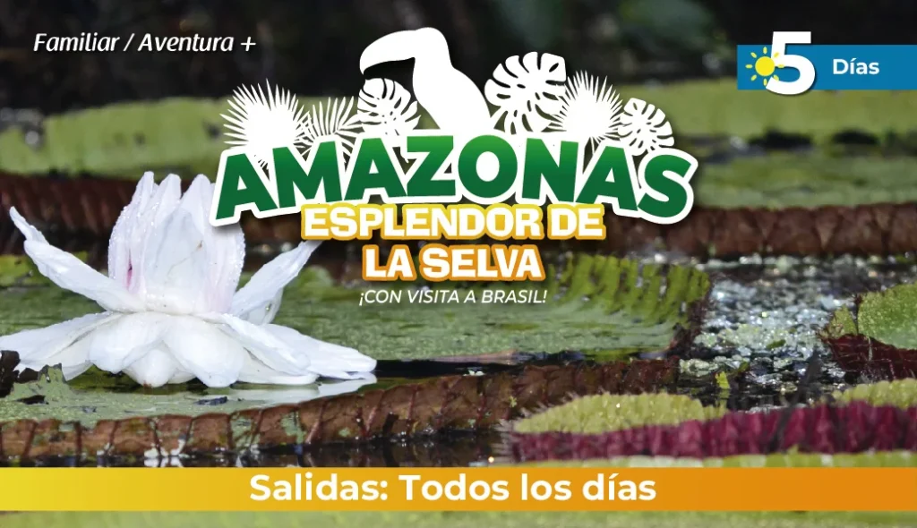 Tour al Amazonas 2025: Amazonas Esplendor de la Selva