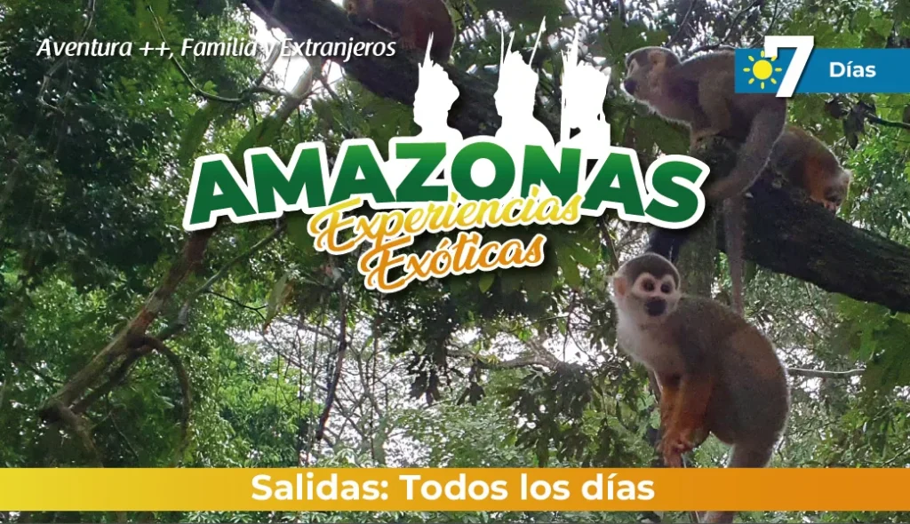 Tour al Amazonas 2025: Amazonas Experiencias Exóticas