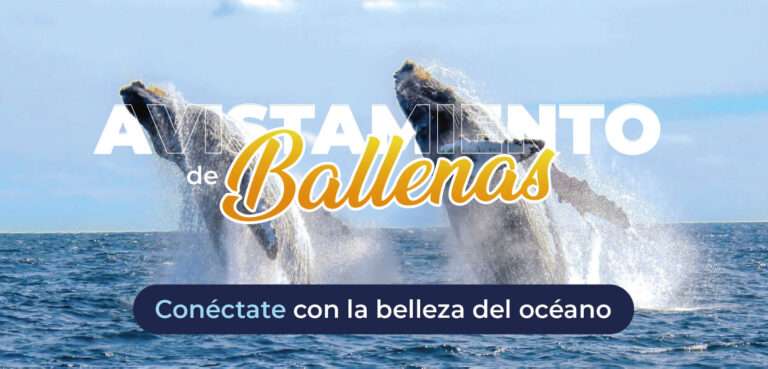 Viaje Avistamiento de Ballenas 2025 con Paipa Tours